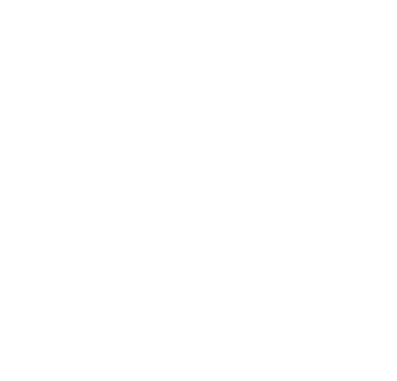 City of The Hague